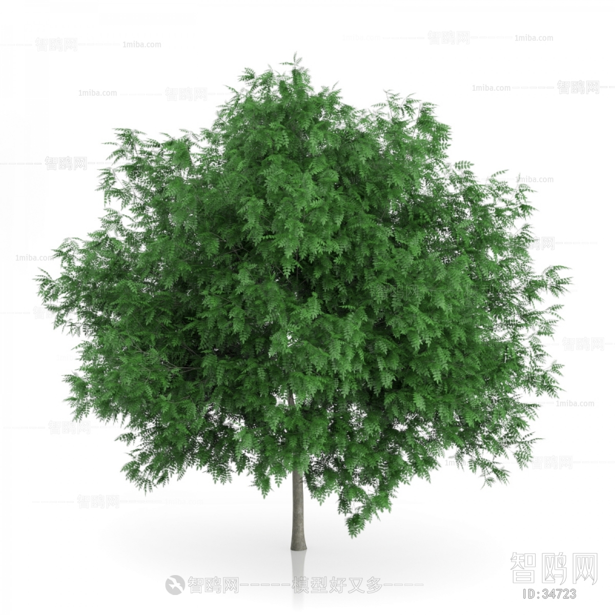 Modern Tree/shrub/grass