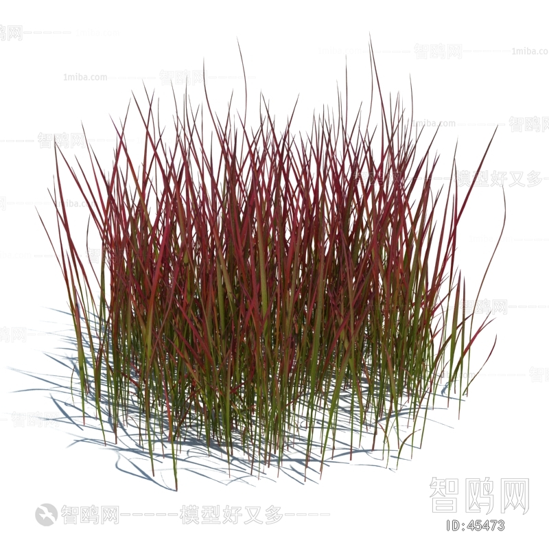 Modern Tree/shrub/grass