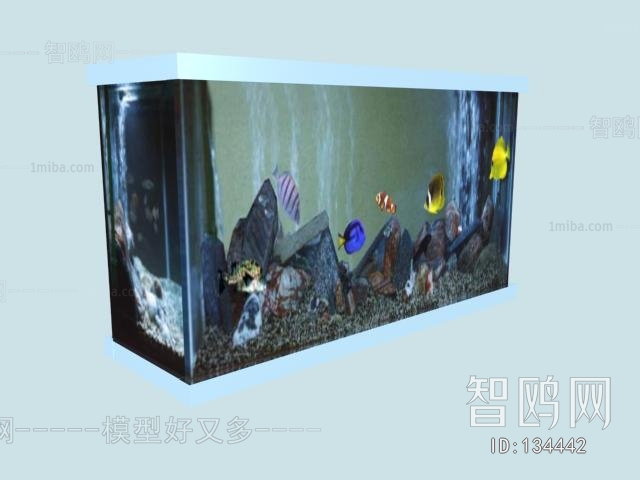 Modern Fish Tank