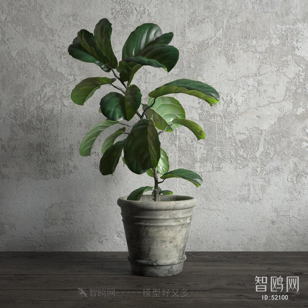 Modern Potted Green Plant