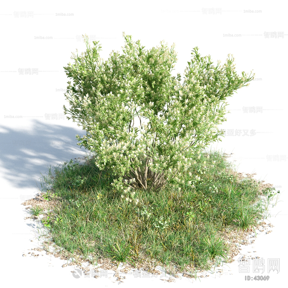 Modern Tree/shrub/grass