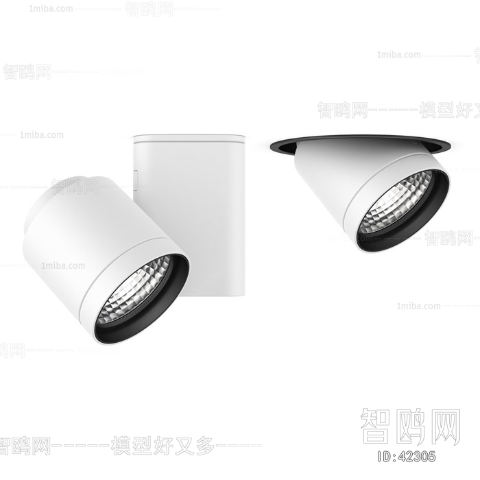 Modern Downlight Spot Light