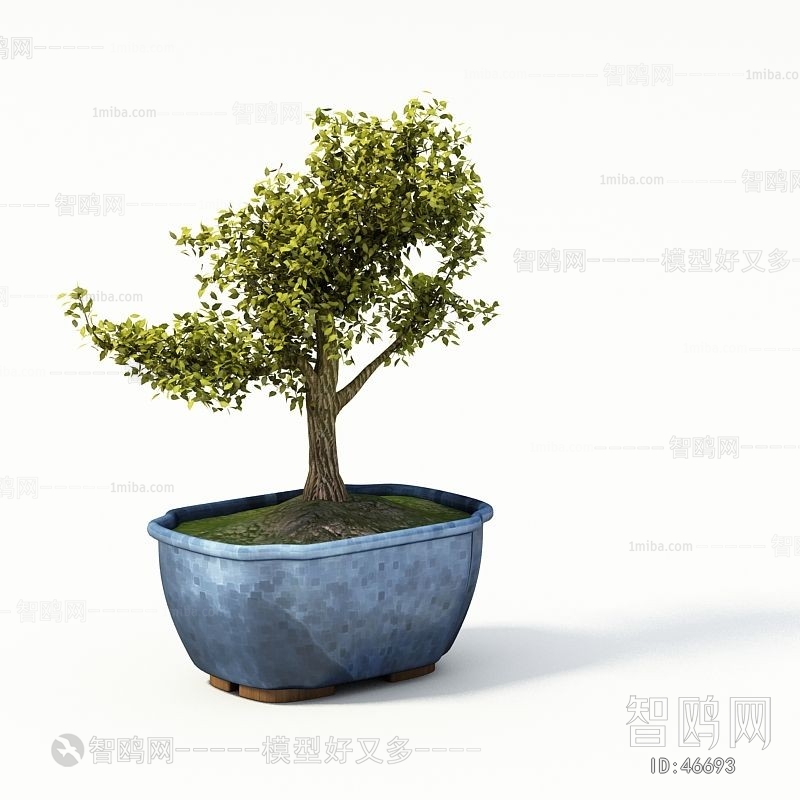 Modern Potted Green Plant