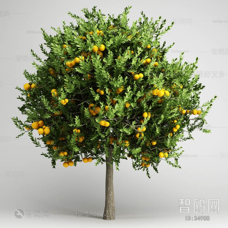 Modern Tree/shrub/grass