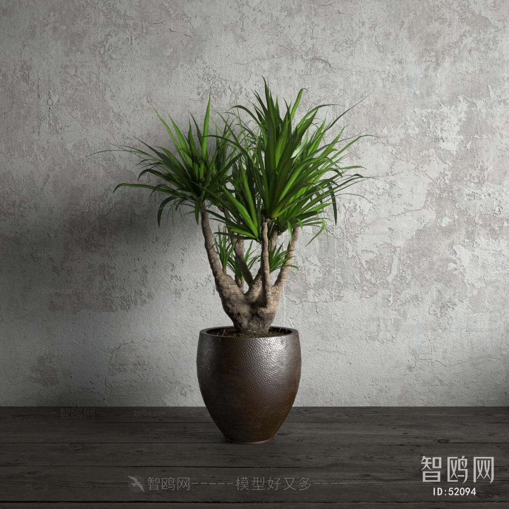 Modern Potted Green Plant