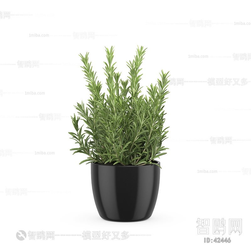 Modern Potted Green Plant