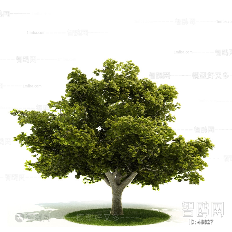 Modern Tree/shrub/grass