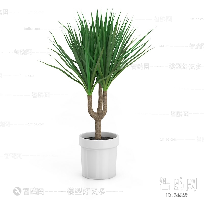 Modern Potted Green Plant