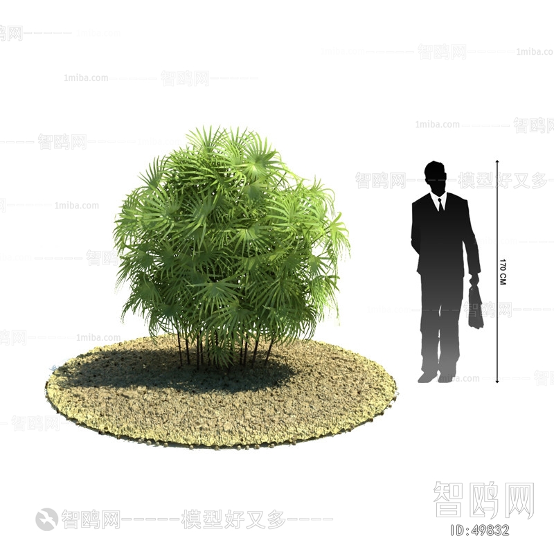 Modern Tree/shrub/grass