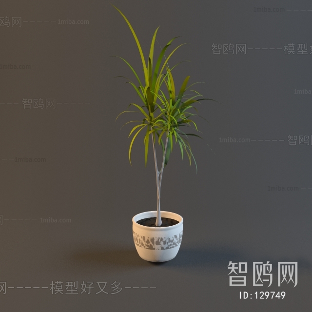 Modern Potted Green Plant