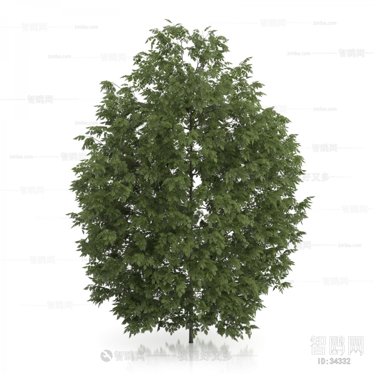 Modern Tree/shrub/grass