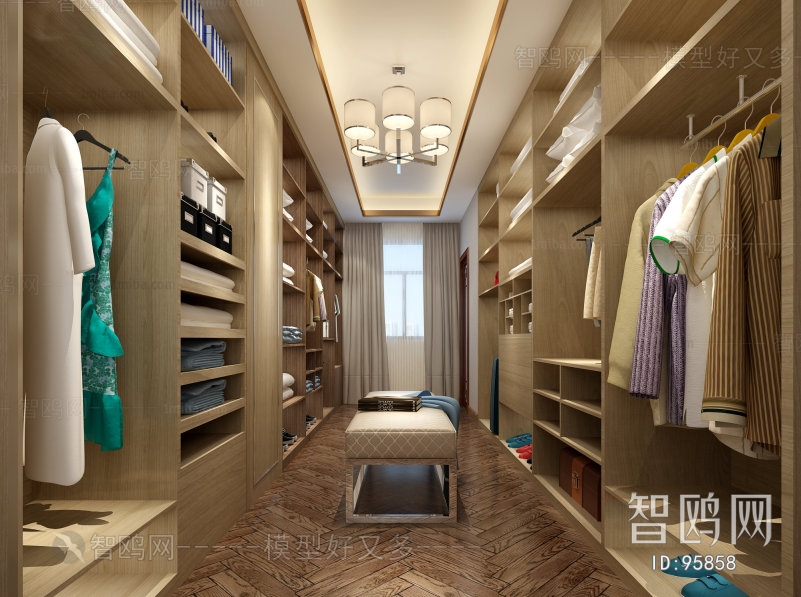 Modern Clothes Storage Area