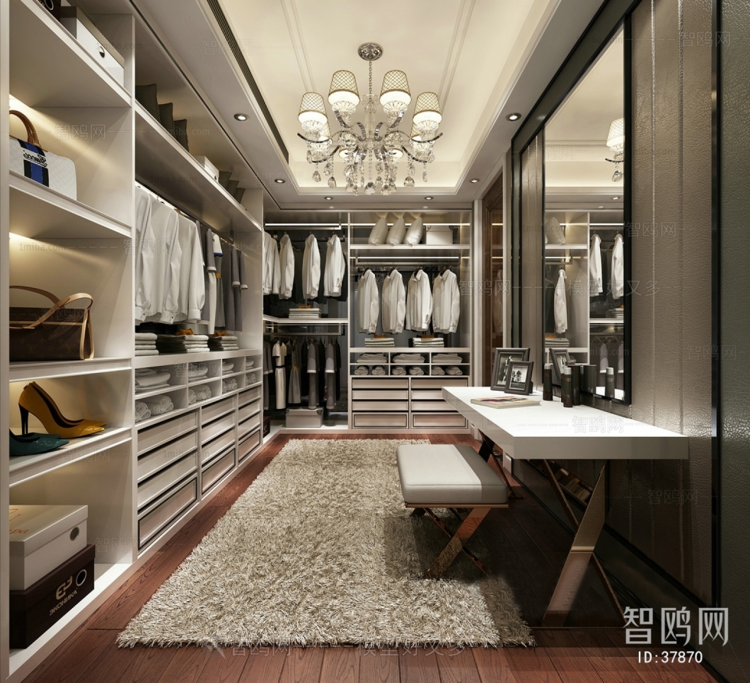 Modern Clothes Storage Area