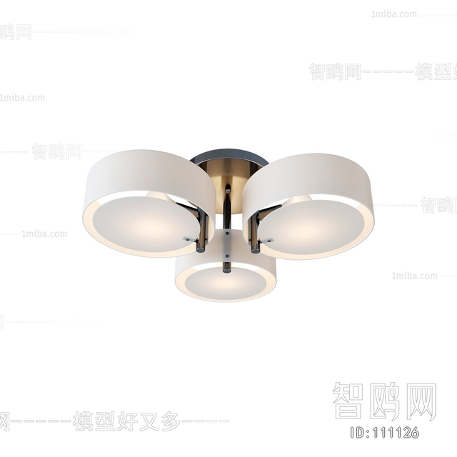 Modern Ceiling Ceiling Lamp