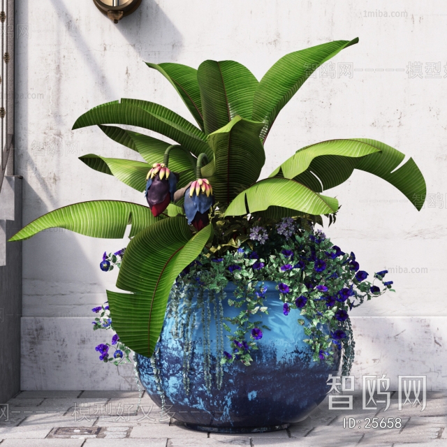 Mediterranean Style Idyllic Style Potted Green Plant