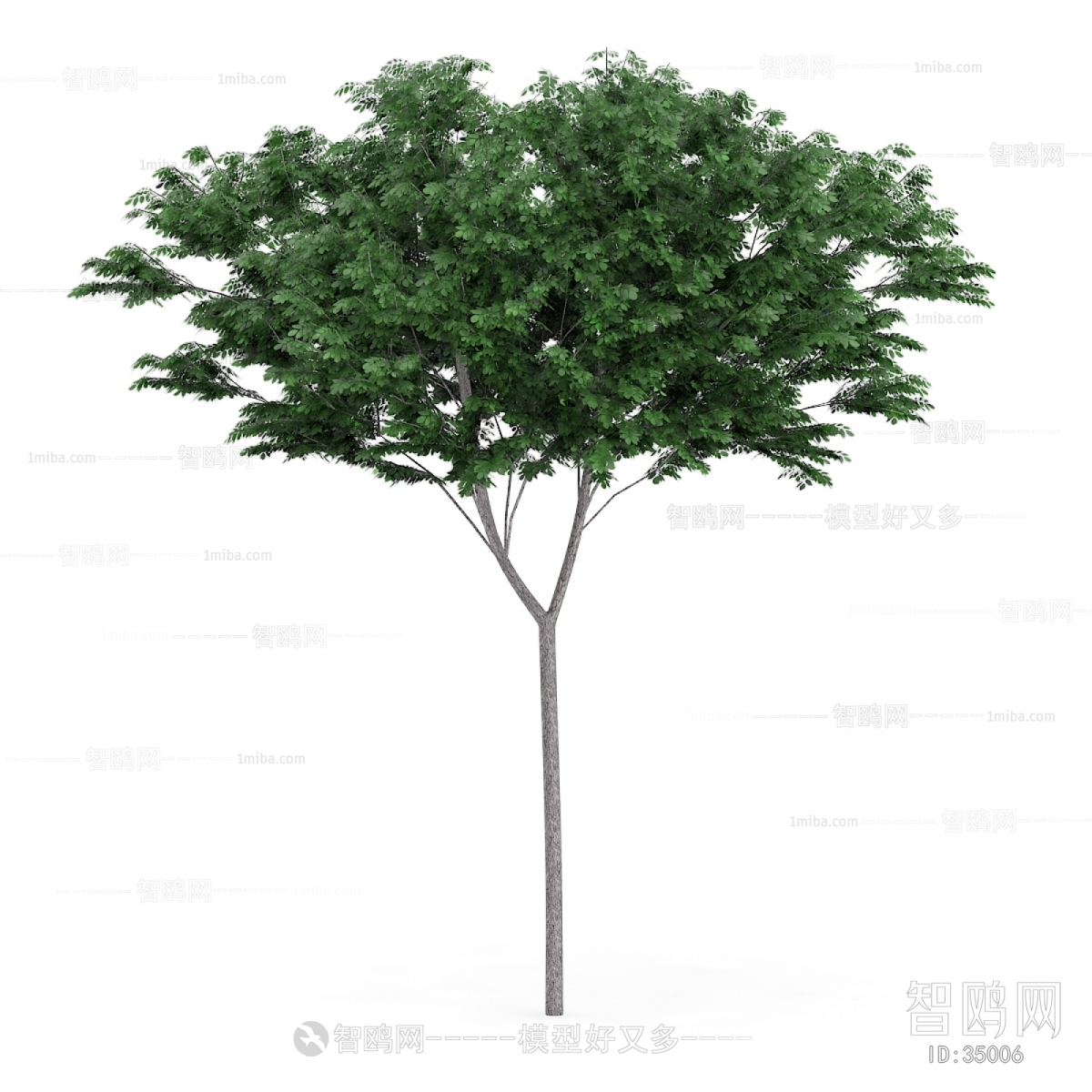 Modern Tree/shrub/grass