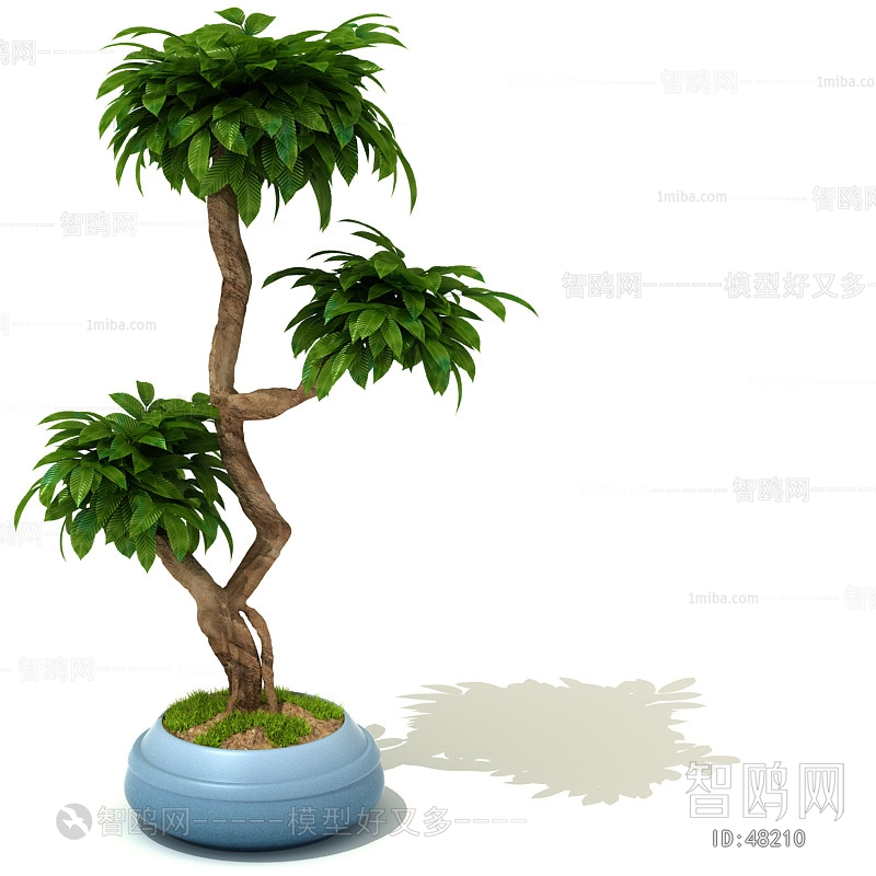 Modern Potted Green Plant