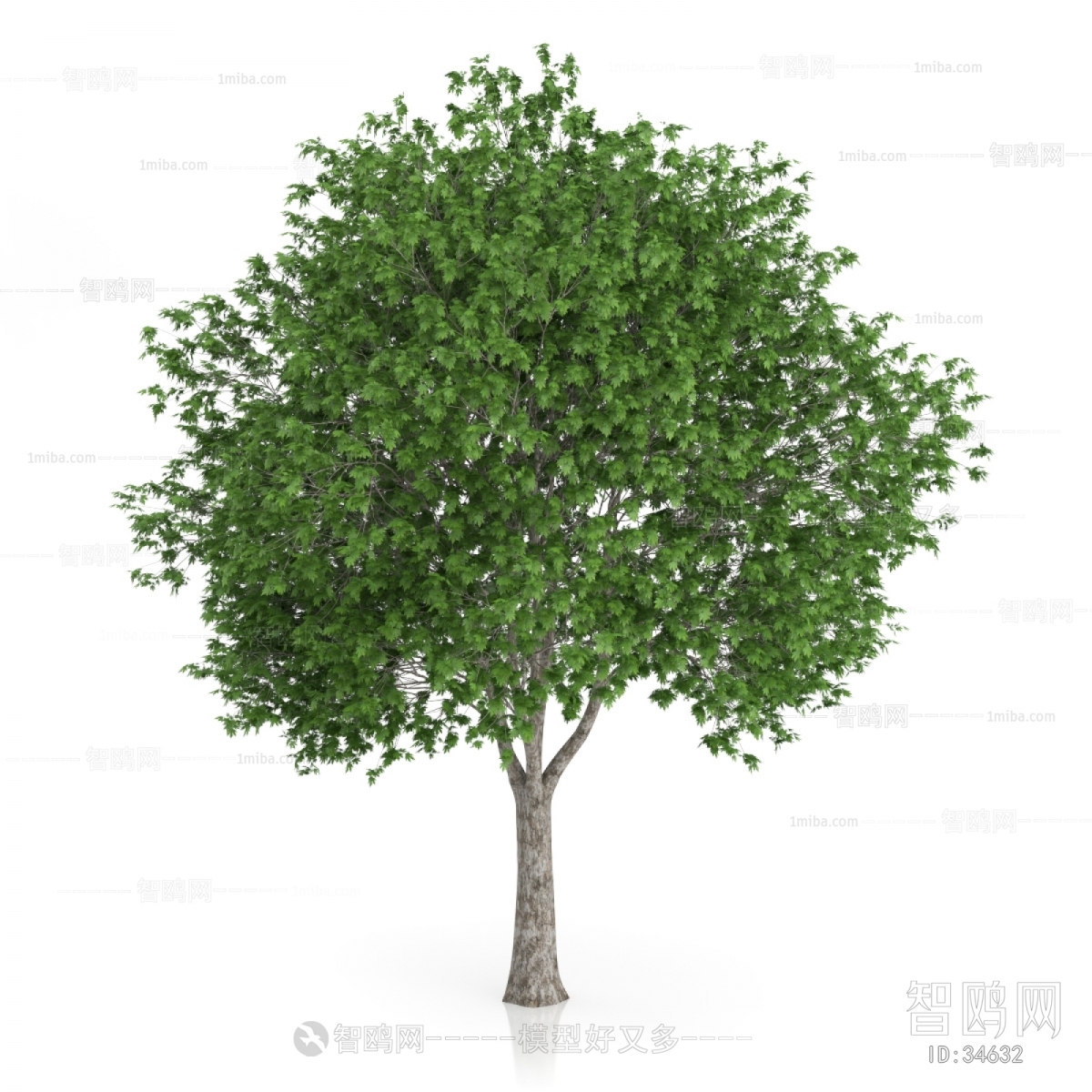 Modern Tree/shrub/grass