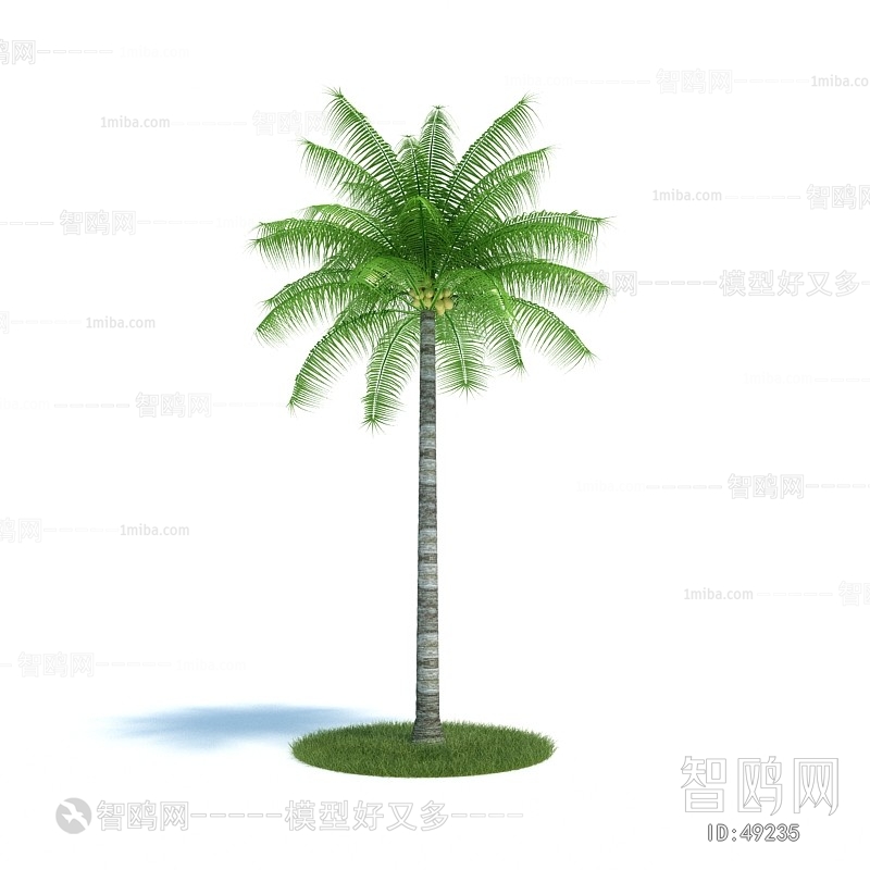 Modern Tree/shrub/grass