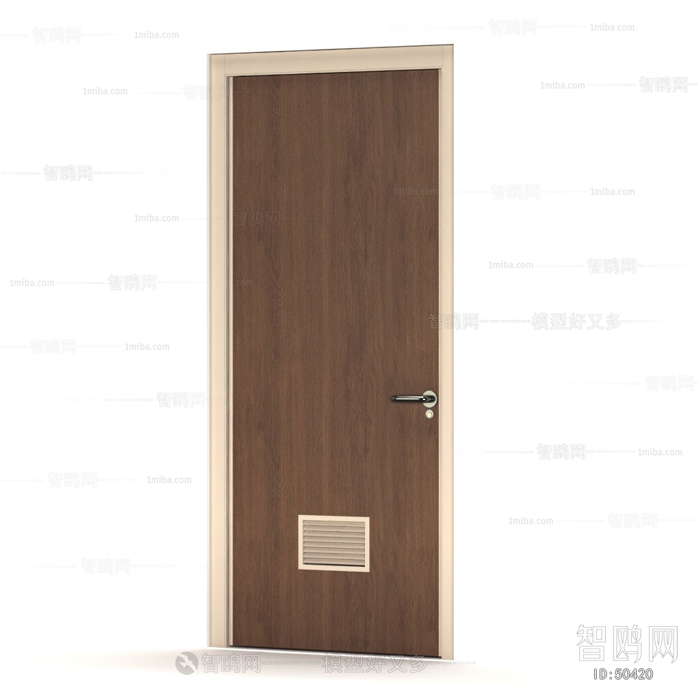 Modern Door