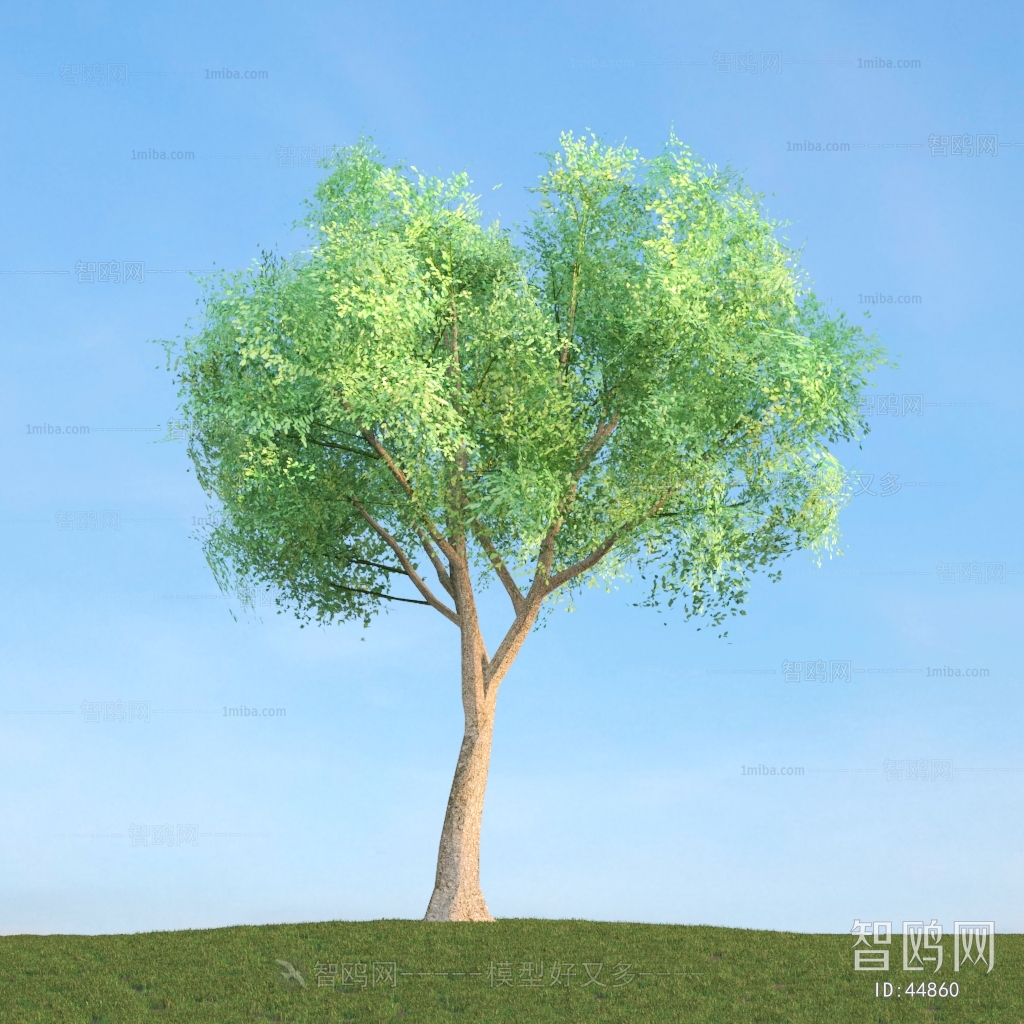 Modern Tree/shrub/grass