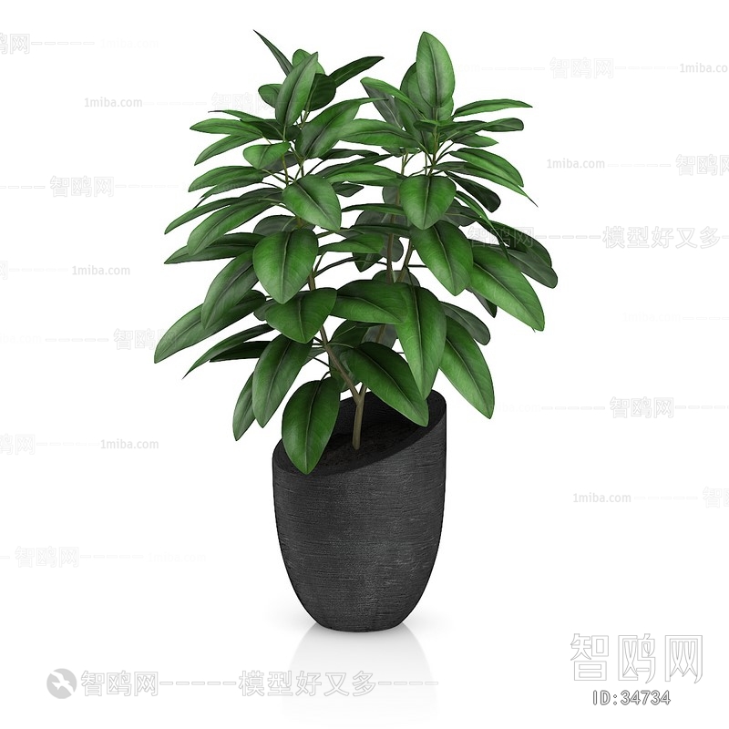 Modern Potted Green Plant