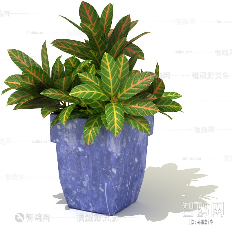 Modern Potted Green Plant