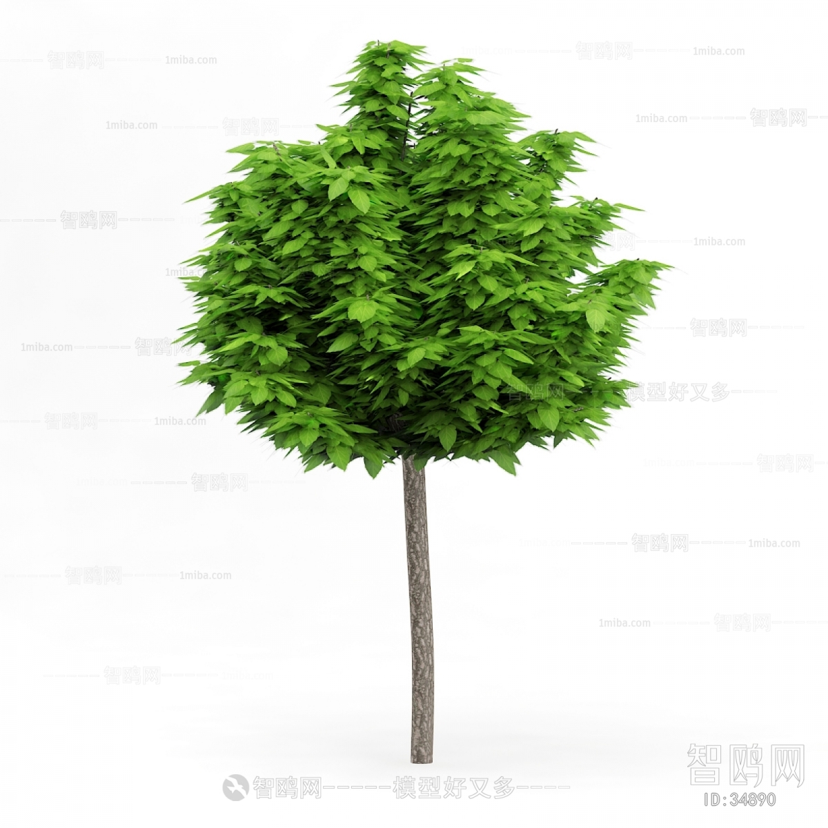 Modern Tree/shrub/grass