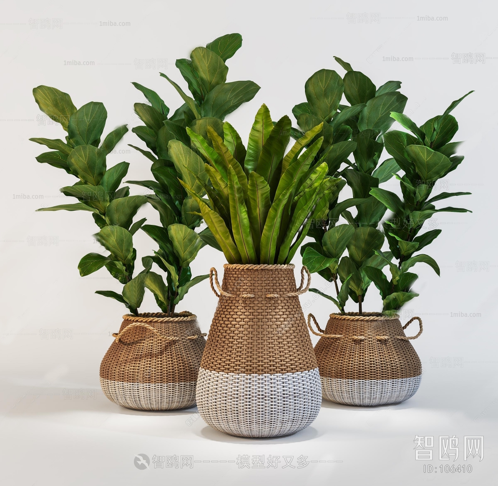 Modern Potted Green Plant