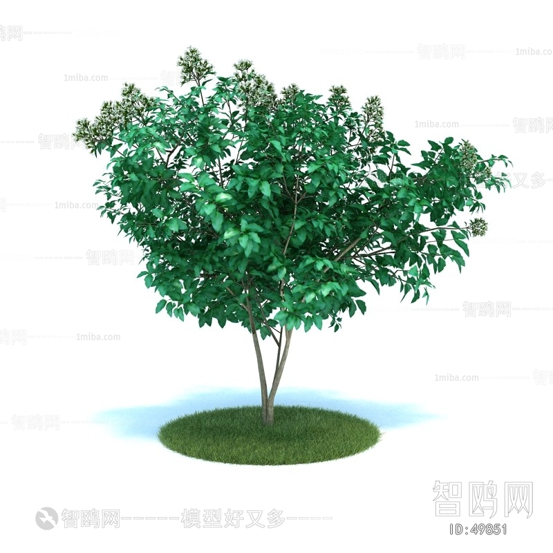 Modern Tree/shrub/grass