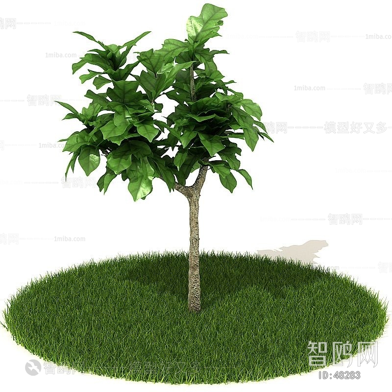 Modern Tree/shrub/grass