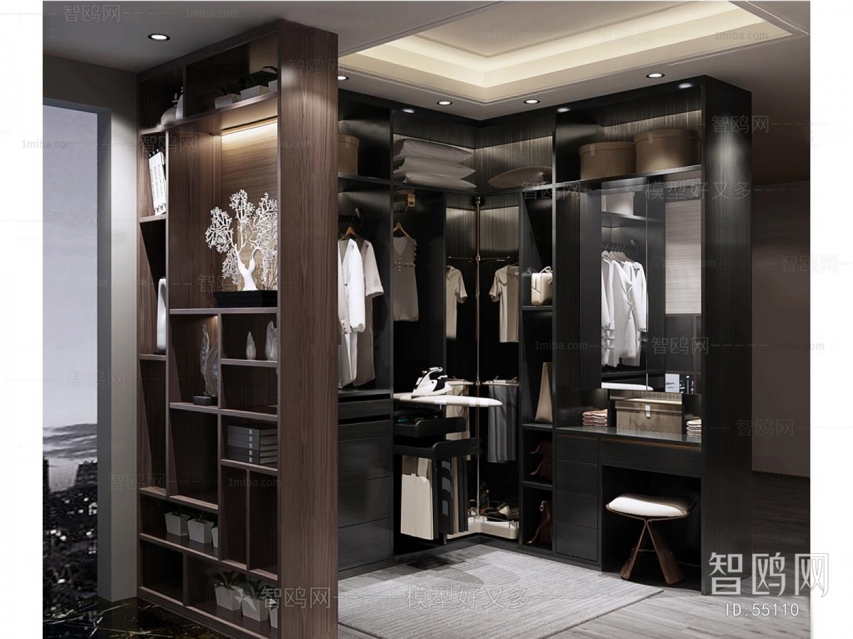 Modern Clothes Storage Area