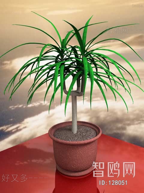 Modern Potted Green Plant