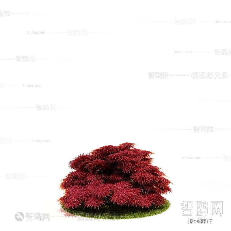 Modern Tree/shrub/grass