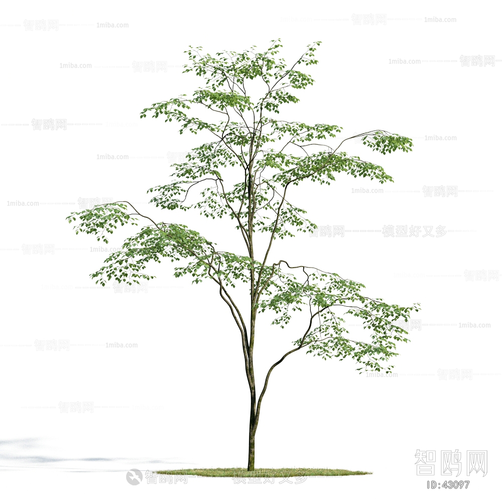 Modern Tree/shrub/grass