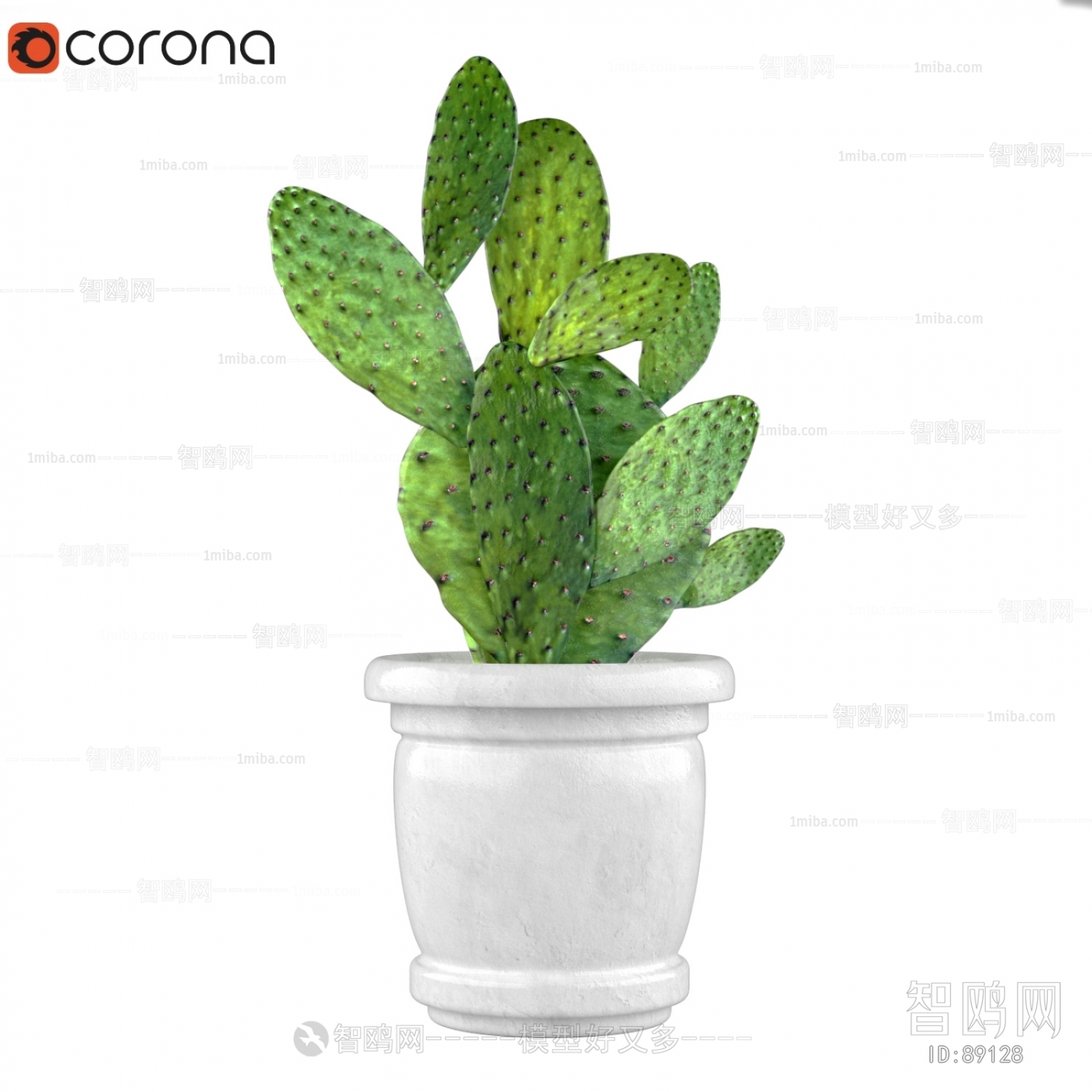 Modern Potted Green Plant