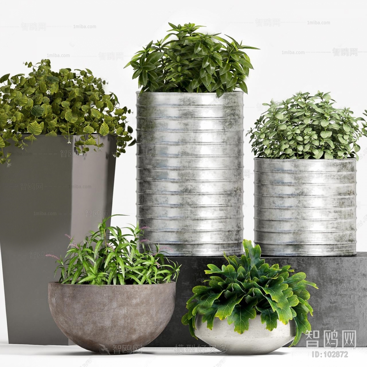 Modern Potted Green Plant