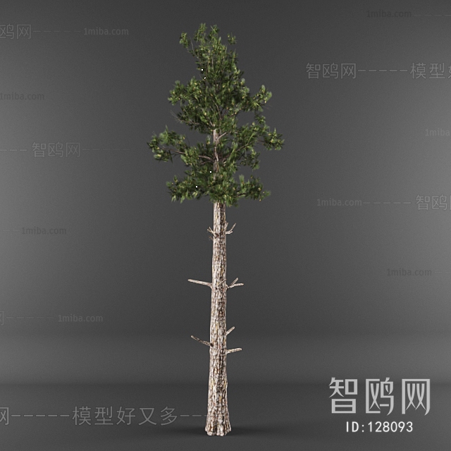 Modern Tree