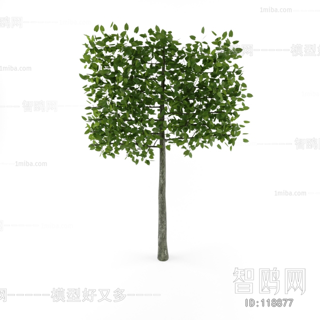 Modern Tree