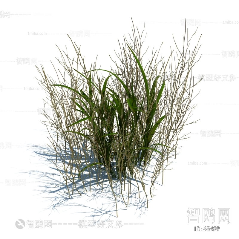 Modern Tree/shrub/grass