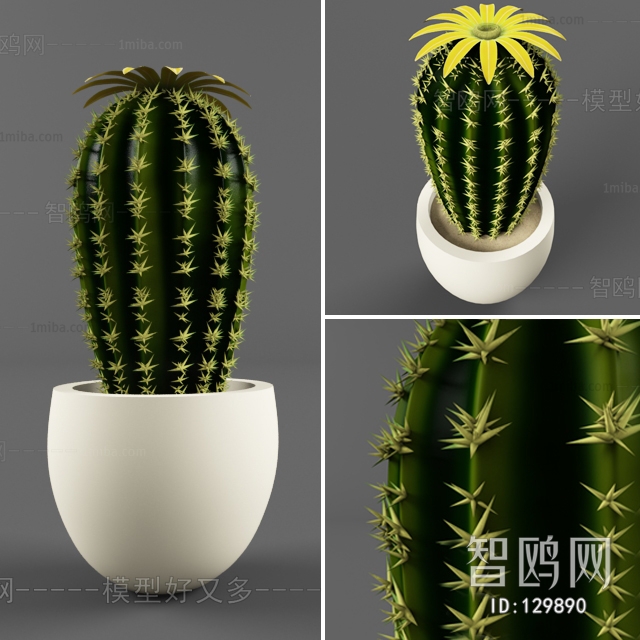 Modern Potted Green Plant