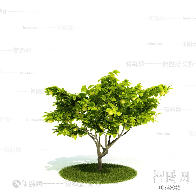 Modern Tree/shrub/grass