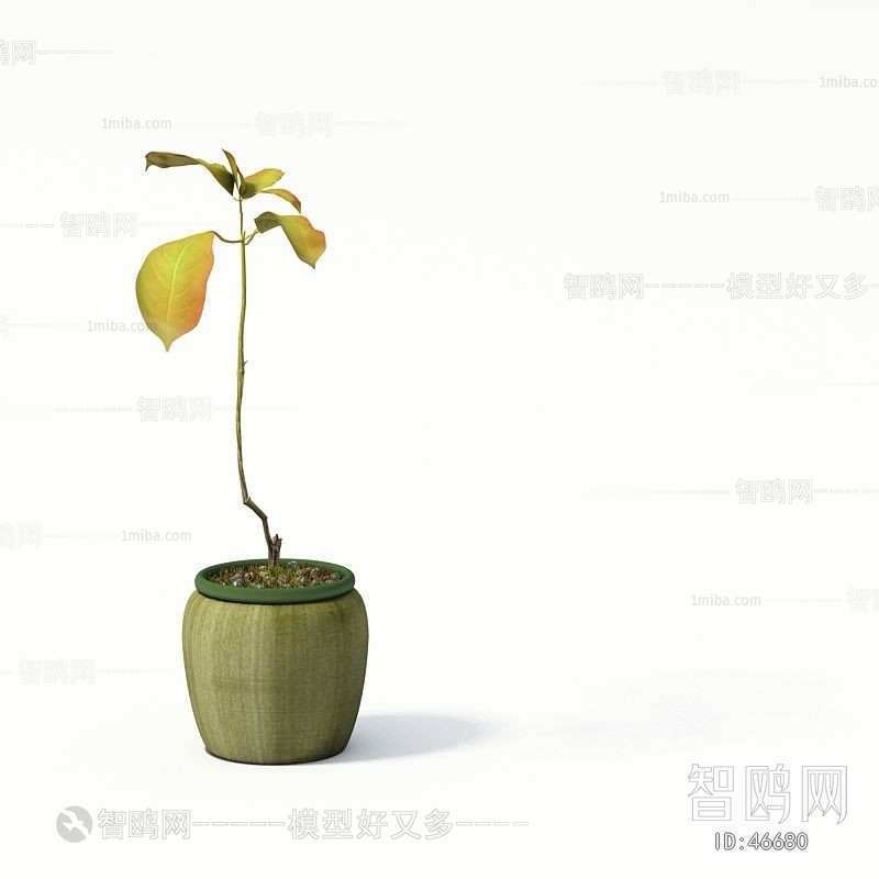 Modern Potted Green Plant