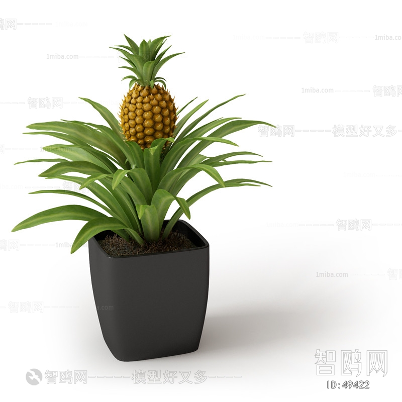 Modern Potted Green Plant