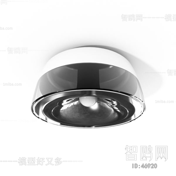 Modern Ceiling Ceiling Lamp