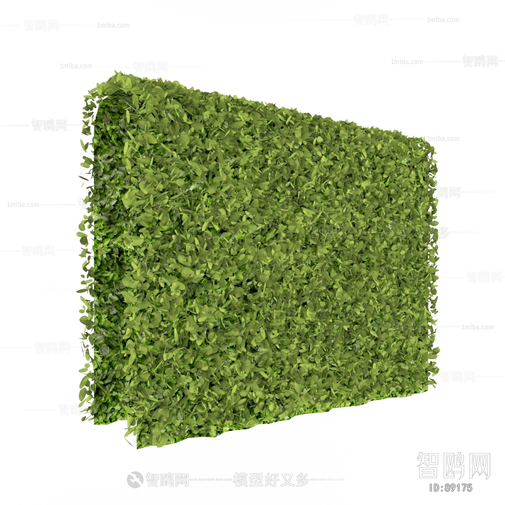 Modern Plant Wall