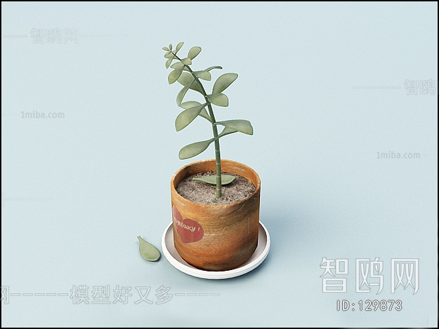 Modern Potted Green Plant