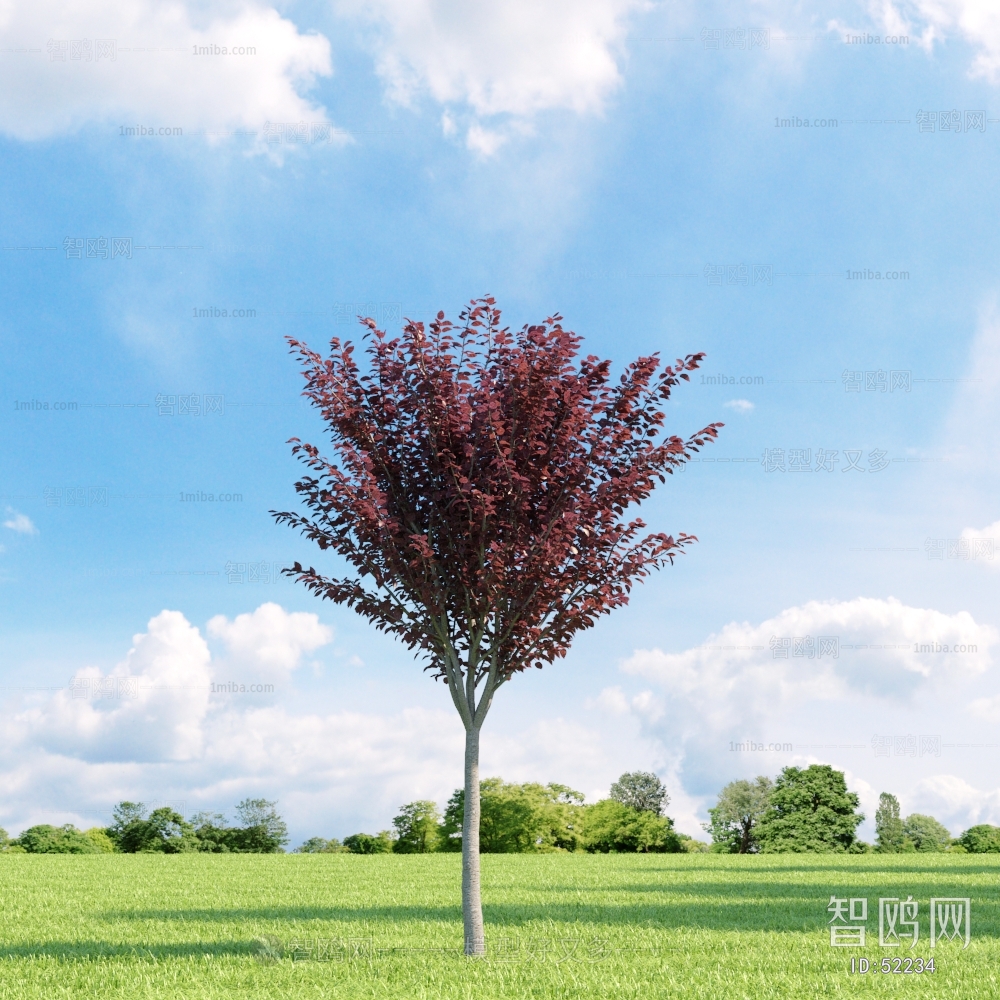 Modern Tree/shrub/grass