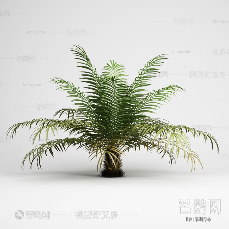 现代绿植盆栽