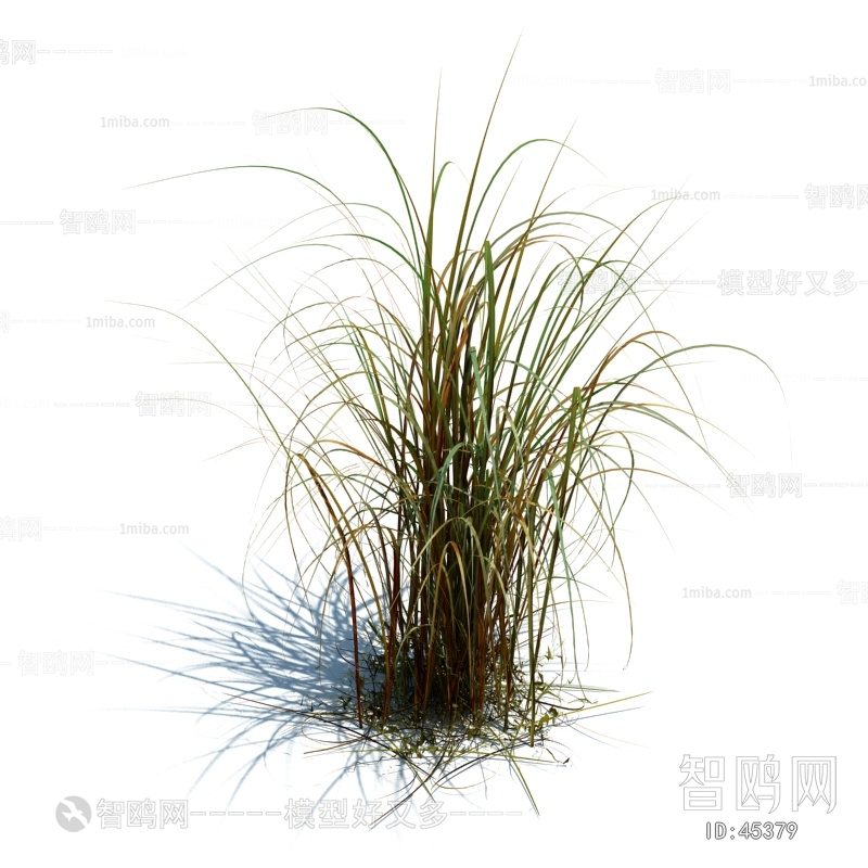 Modern Tree/shrub/grass